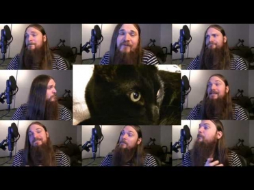 My Cat Knows What You Do In The Dark - Fall Out Boy Parody; Acapella