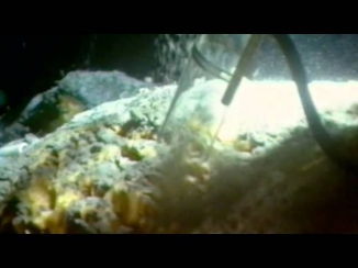 BBC: Бермудский треугольник - Тайна глубин океана HD 720