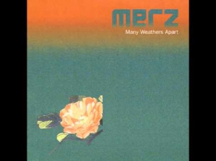 Merz-Many-Weathers-Apart (Alex Metric Remix).avi