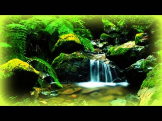 Лесной ручей - Релаксация (Relaxing Forest Creek)