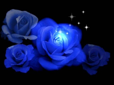 Frequenz - Синие розы (ты смеялась надо мной)
