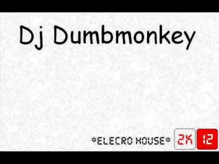 Dj DumbMonkey ElectroHouse 2k12
