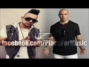 Sean Paul feat. Pitbull - She Doesn't Mind (Official Remix)