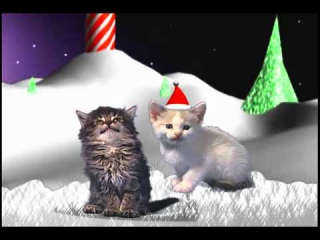 Рождественская песня котов