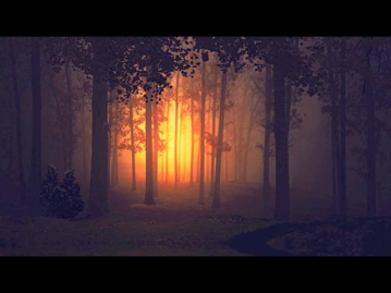Till Death - The Dark Woods