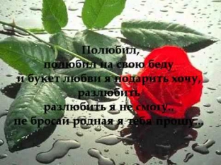 Эльдар Далгатов    Полюбил Eldar Dalgatov   Polubil + Lyrics