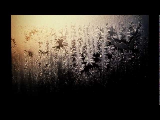 York - Iceflowers (feat. Asheni)