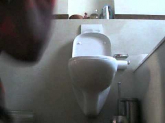 Best Toilet Spy EVER 1