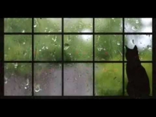Raimonds Pauls -  Blues Under The Rain