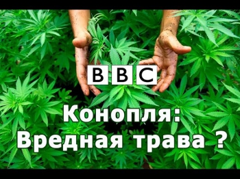 BBC: Конопля: вредная трава? / BBC: Canabis: The Evil Weed?