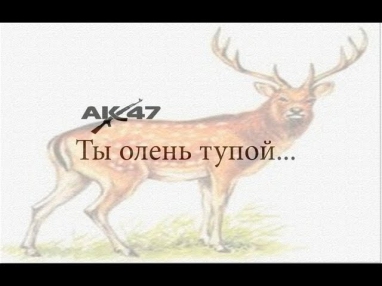 AK 47 - Ты олень тупой