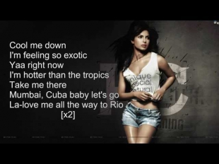 Priyanka Chopra - Exotic ft Pitbull ( Official Karaoke )