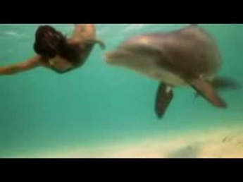 Девочка и дельфин \Girl and a Dolphin. (видеоклип)