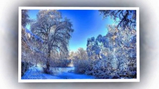 Снег и елки,ледяные горки