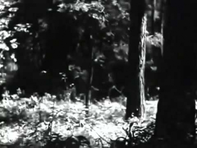 Белый Клык 1946 - Full Online HD