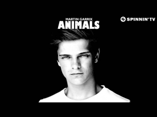 Martin Garrix - Animals (Radio Edit)