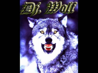 Electro House Dubstep DJ WoLF 2011 (Rattle & Big bad Wolf mix)
